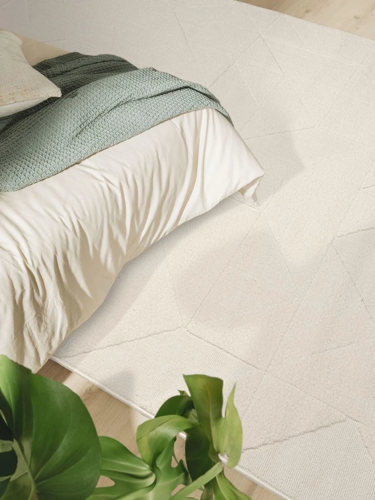 Cotton Sidney SD03 Krem - görsel 3