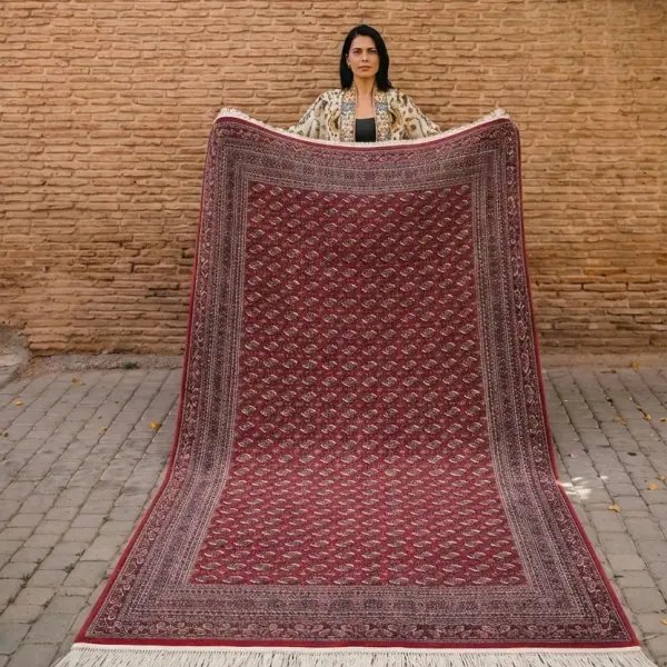 Saray Safron SF31A