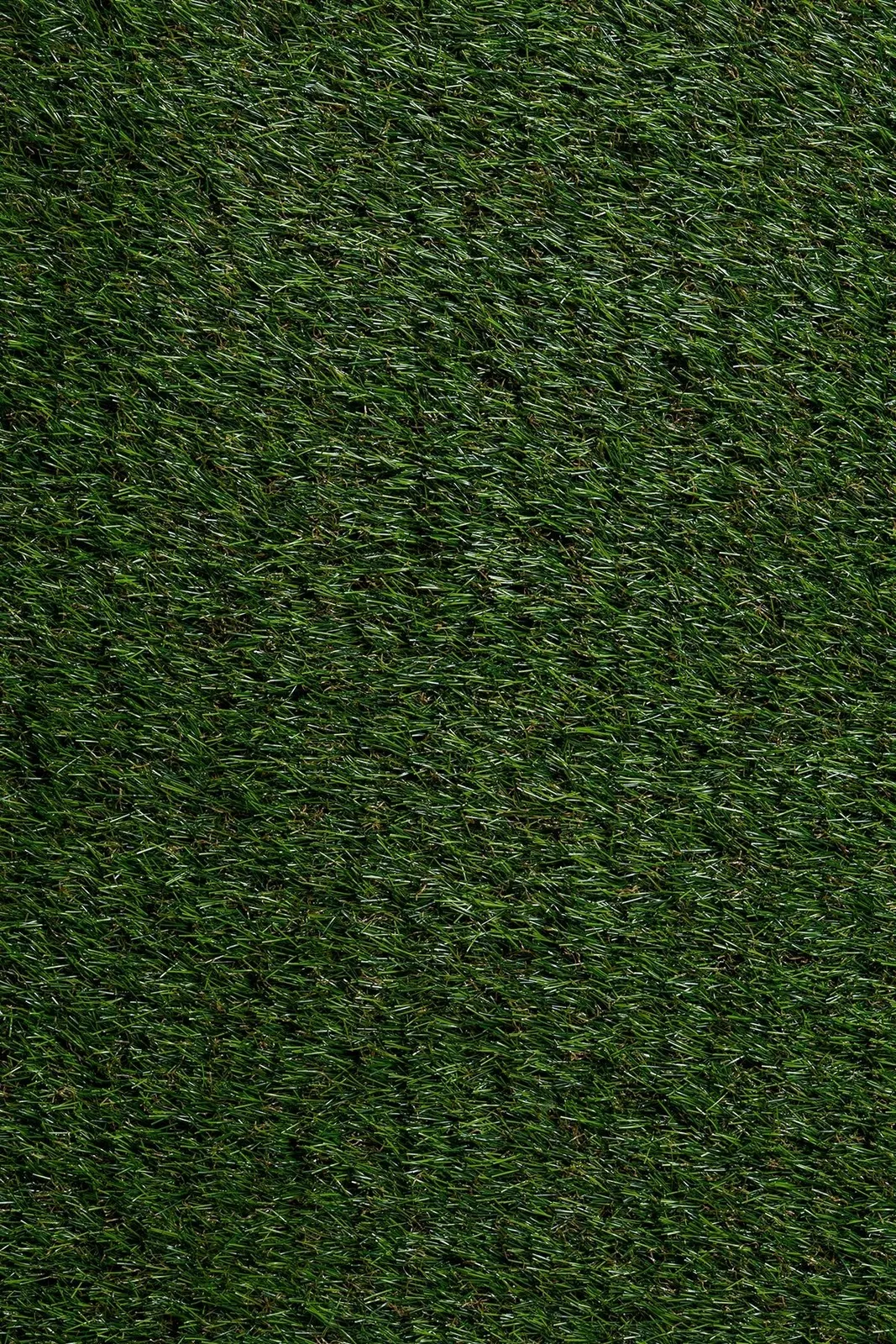 Sisal Garden G-102 30 MM Yapay Çim Halı — görsel 1