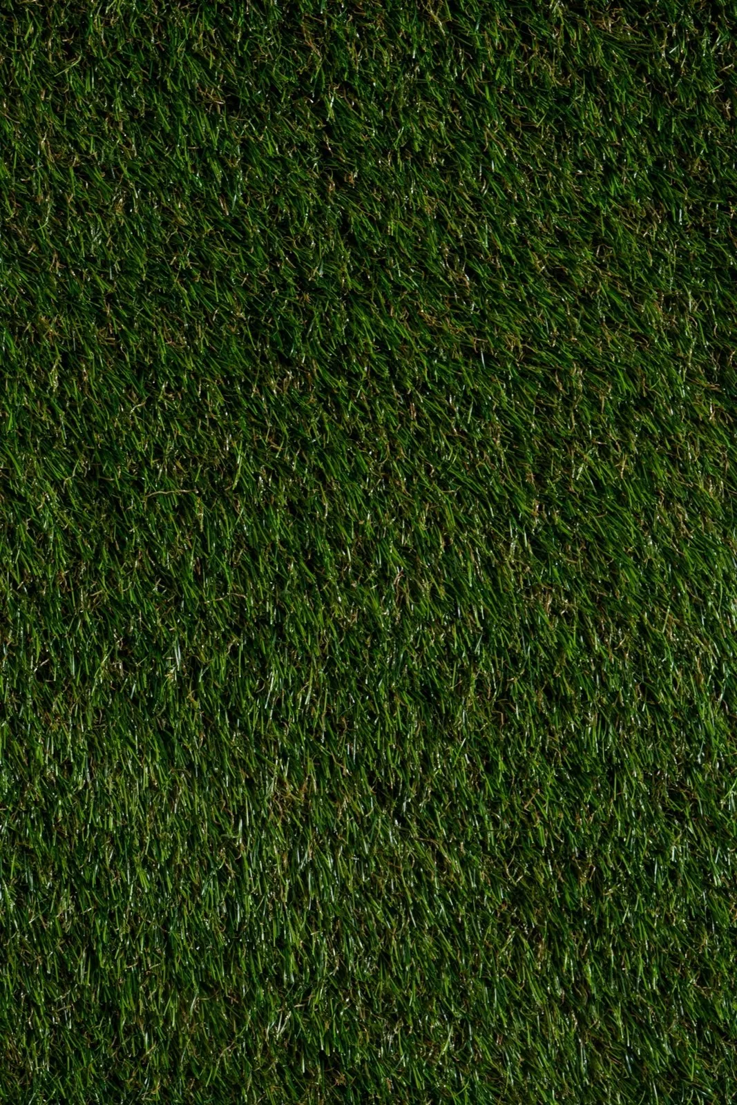 Sisal Garden Natural N-101 40 MM Yapay Çim Halı — görsel 1