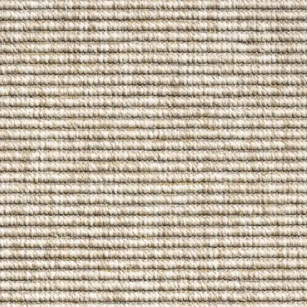 Massimo Lasis 3812